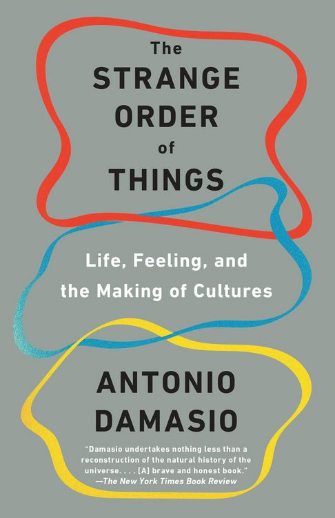 Produktbild: The Strange Order of Things