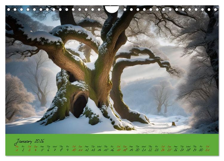 Produktbild: A strange forest In the lonely undergrowth (Wall Calendar 2026 DIN A4 landscape), CALVENDO 12 Month Wall Calendar