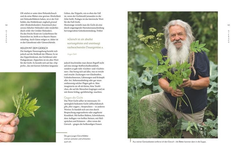 Produktbild: Die "Unkr&auml;uter" in meinem Garten