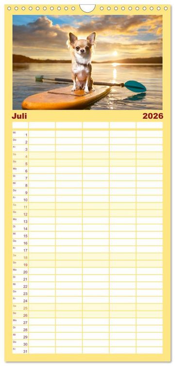 Produktbild: Familienplaner 2026 - Chillige Chihuahuas - Entspannte Fellnasen genie&szlig;en das Leben mit 5 Spalten (Wandkalender, 21 x 45 cm) CALVENDO