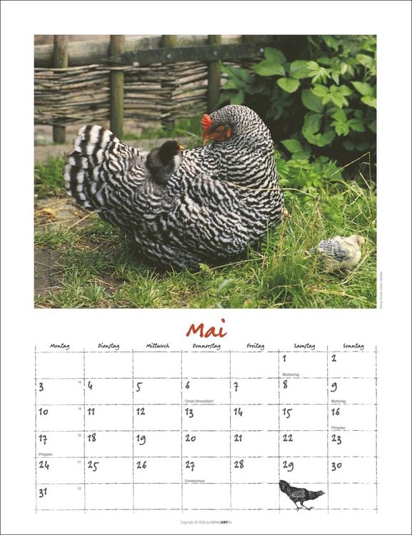 Produktbild: Der H&uuml;hnerkalender 2027