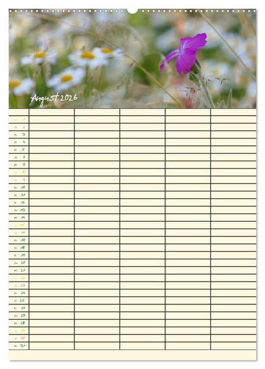 Produktbild: Kleine Natursch&ouml;nheiten (hochwertiger Premium Wandkalender 2026 DIN A2 hoch), Kunstdruck in Hochglanz
