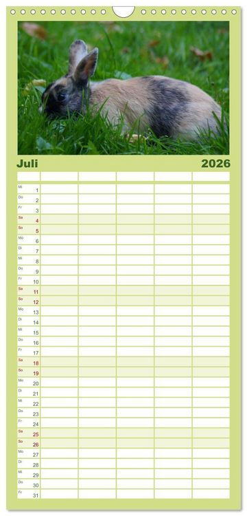 Produktbild: Familienplaner 2026 - Liebenswerte Zwergkaninchen mit 5 Spalten (Wandkalender, 21 x 45 cm) CALVENDO
