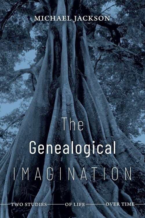 Produktbild: The Genealogical Imagination