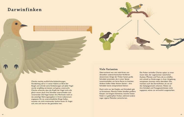 Produktbild: Darwins gro&szlig;e Reise