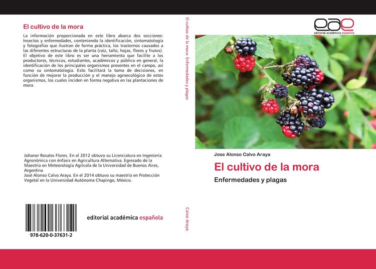 Produktbild: El cultivo de la mora