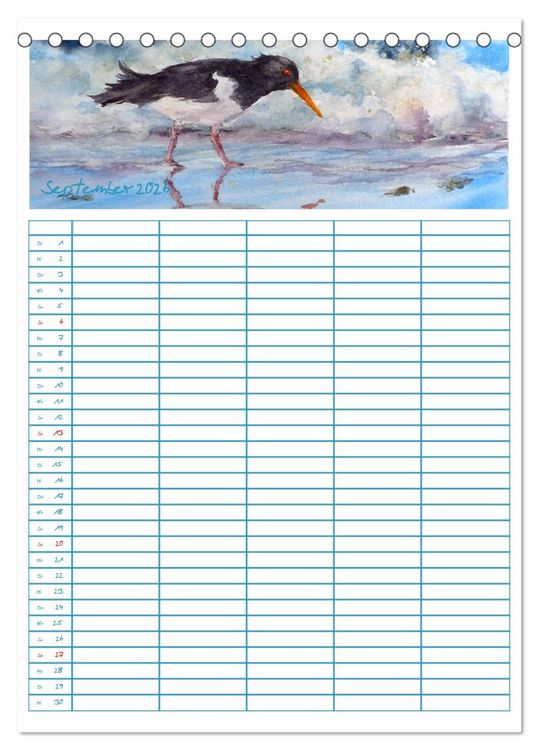 Produktbild: Amrumaquarelle (Tischkalender 2026 DIN A5 hoch), CALVENDO Monatskalender