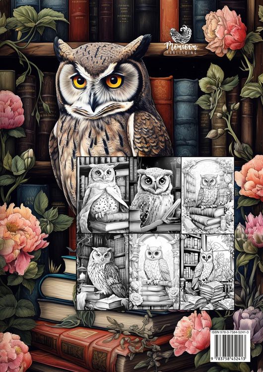 Produktbild: Eulen in der Bibliothek Malbuch f&uuml;r Erwachsene