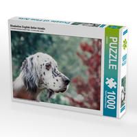 Produktbild: CALVENDO Puzzle Bluebelton English Setter H&uuml;ndin 1000 Teile Lege-Gr&ouml;&szlig;e 64 x 48 cm Foto-Puzzle Bild von VISOVIO
