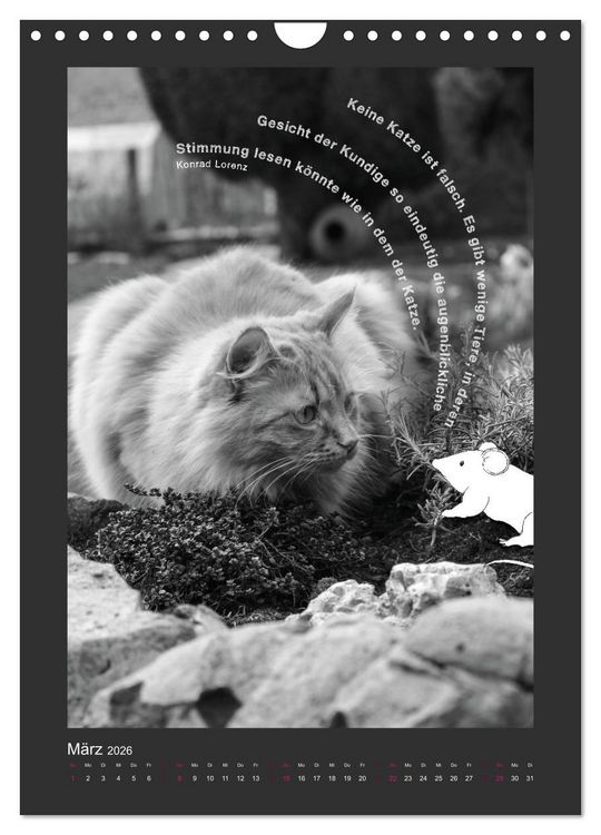Produktbild: Katz & Maus (Wandkalender 2026 DIN A4 hoch), CALVENDO Monatskalender