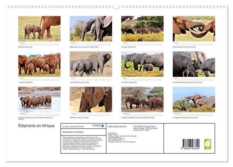 Produktbild: &Eacute;l&eacute;phants en Afrique (Calendrier mural 2026 DIN A2 vertical) calendrier de bureau