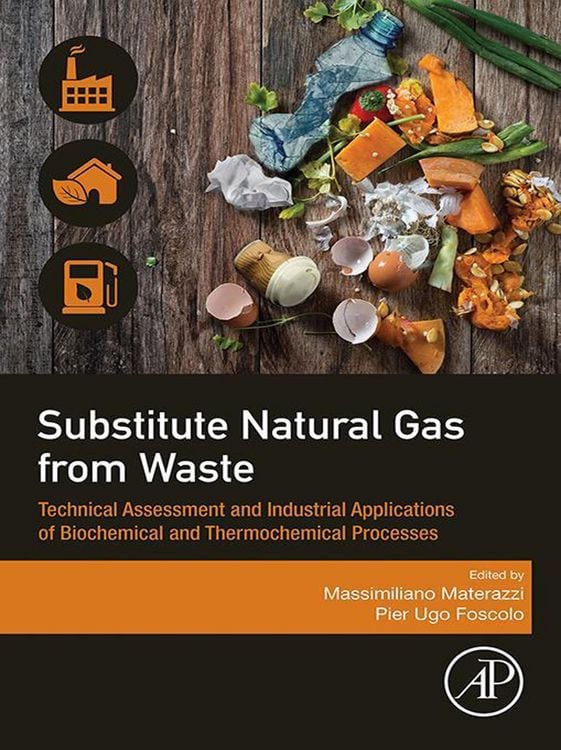 Produktbild: Substitute Natural Gas from Waste