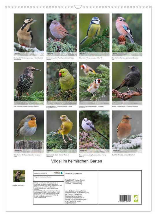 Produktbild: V&ouml;gel im heimischen Garten (Wandkalender 2026 DIN A2 hoch), CALVENDO Monatskalender