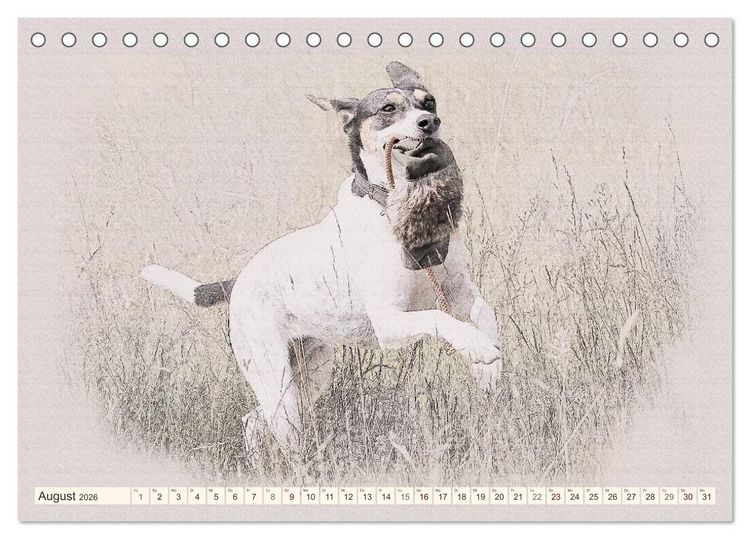 Produktbild: Bodeguero Andaluz 2026 (Tischkalender 2026 DIN A5 quer), CALVENDO Monatskalender
