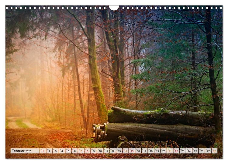 Produktbild: Wald - mystische Spazierg&auml;nge (Wandkalender 2026 DIN A3 quer), CALVENDO Monatskalender