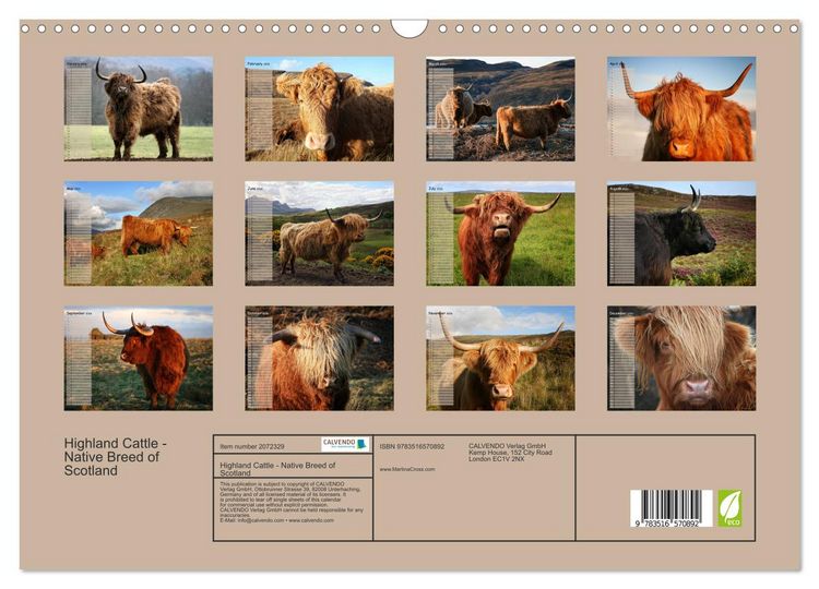 Produktbild: Highland Cattle - Native Breed of Scotland (Wall Calendar 2026 DIN A3 landscape), CALVENDO 12 Month Wall Calendar