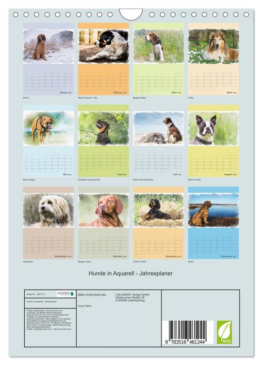 Produktbild: Hunde in Aquarell - Jahresplaner (Wandkalender 2026 DIN A4 hoch), CALVENDO Monatskalender