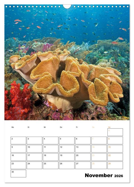 Produktbild: Farbrausch unter Wasser: Fische am Riff (Wandkalender 2026 DIN A3 hoch), CALVENDO Monatskalender