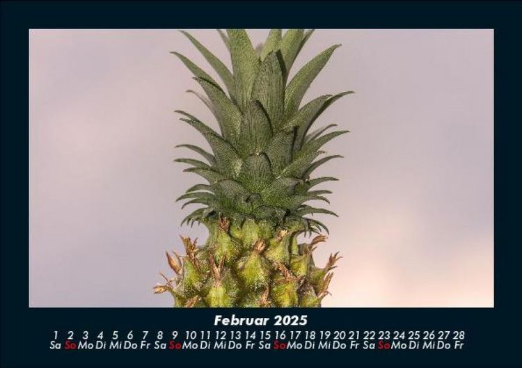 Produktbild: Obstkalender 2025 Fotokalender DIN A5