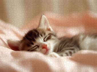 Produktbild: CALVENDO Puzzle Schlafendes Katzenbaby | 2000 Teile Lege-Gr&ouml;&szlig;e 90x67cm Foto-Puzzle f&uuml;r gl&uuml;ckliche Stunden