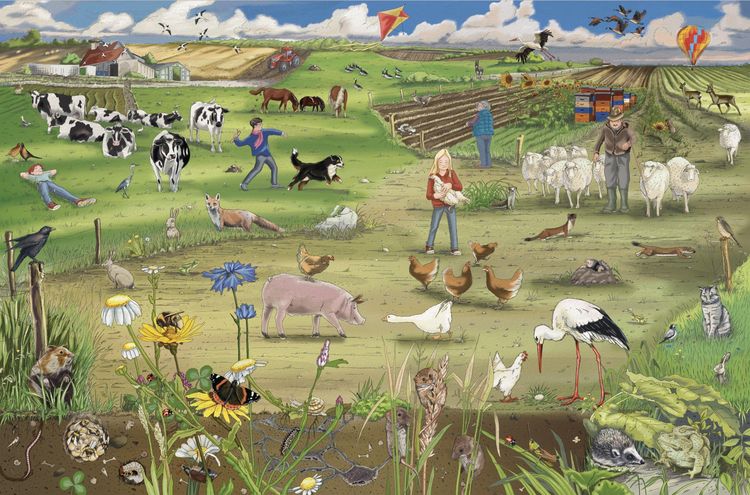 Produktbild: Tiere von nebenan