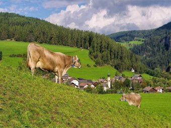 Produktbild: CALVENDO Puzzle St. Lorenzen | 1000 Teile Lege-Gr&ouml;&szlig;e 64x48cm Foto-Puzzle f&uuml;r gl&uuml;ckliche Stunden