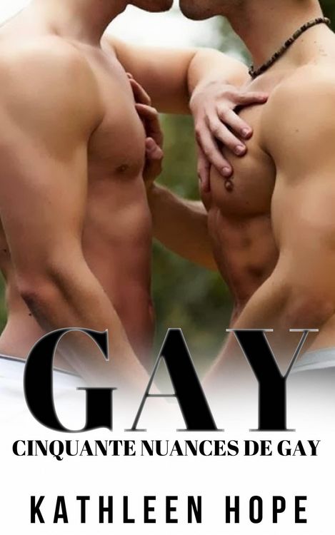 Produktbild: Gay: Cinquante nuances de Gay
