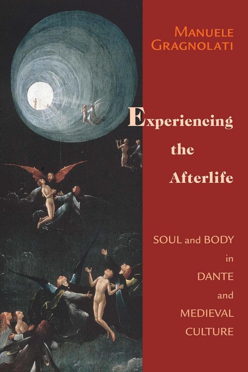 Produktbild: Experiencing the Afterlife