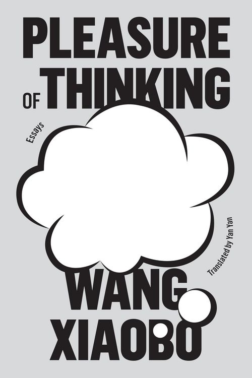 Produktbild: Pleasure of Thinking