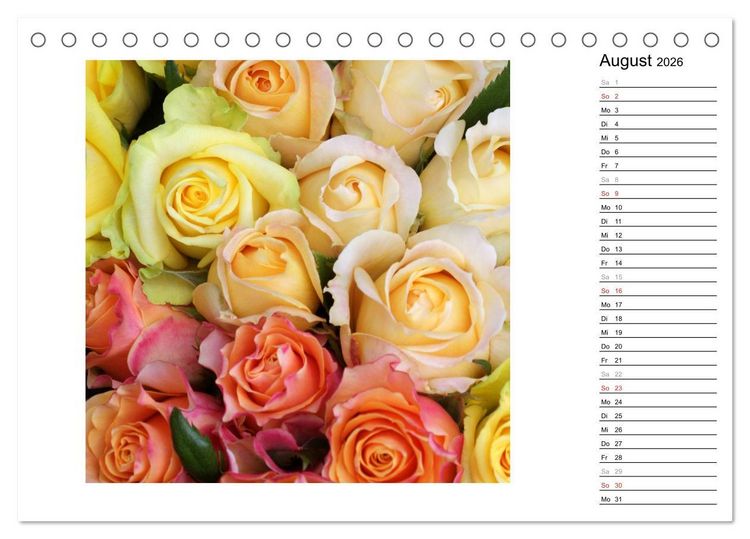 Produktbild: Die vielen Gesichter der Rosen (Tischkalender 2026 DIN A5 quer), CALVENDO Monatskalender