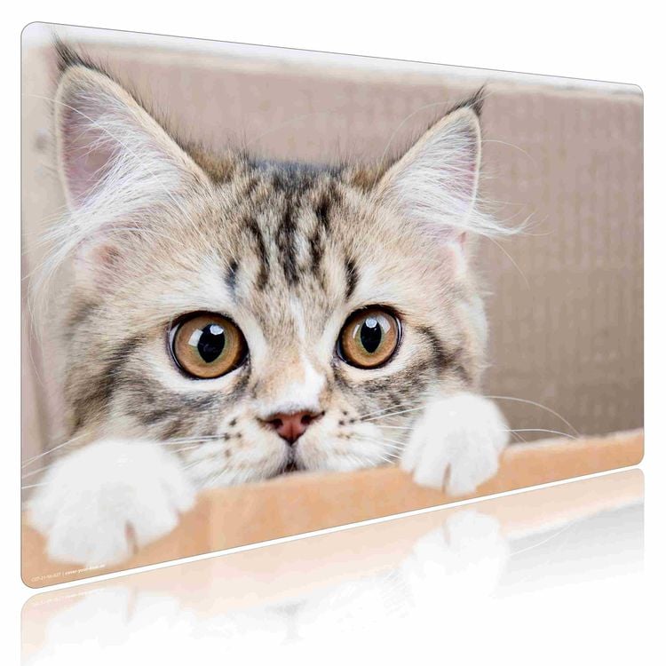Produktbild: Cover-your-desk Schreibtischunterlage f&uuml;r Kinder und Erwachsene Maine Coon K&auml;tzchen, aus hochwertigem Vinyl , 60 x 40 cm