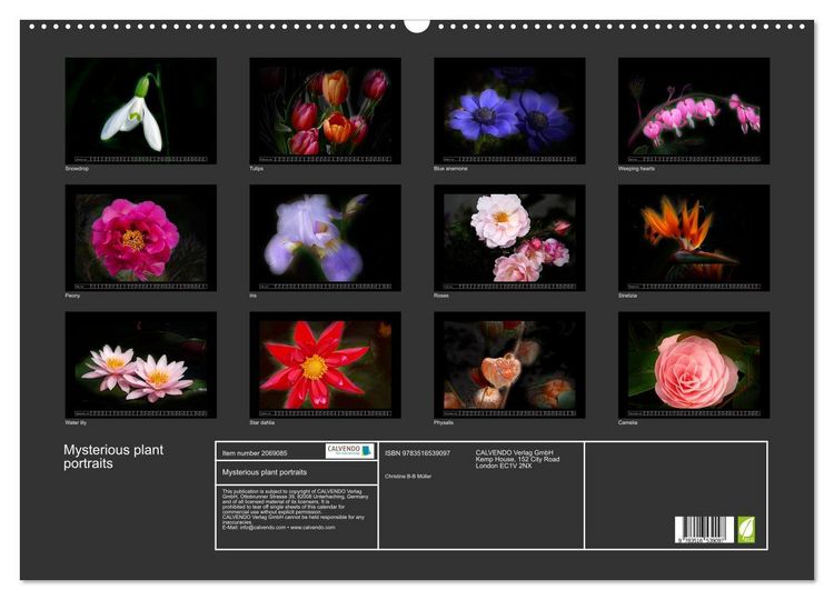 Produktbild: Mysterious plant portraits (Wall Calendar 2026 DIN A2 landscape), CALVENDO 12 Month Wall Calendar