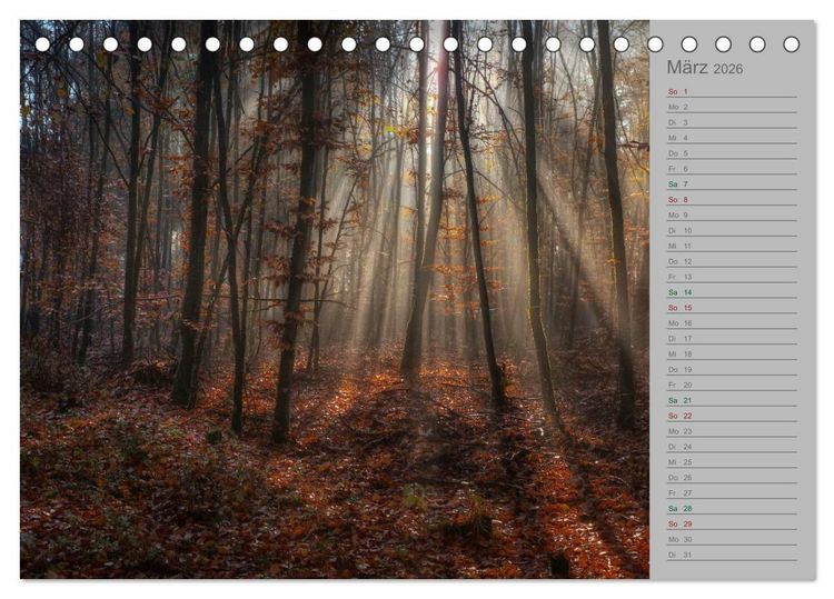 Produktbild: Planungskalender M&auml;rchenwald 2026 (Tischkalender 2026 DIN A5 quer), CALVENDO Monatskalender