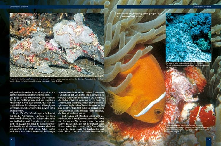 Produktbild: Das Meerwasseraquarium