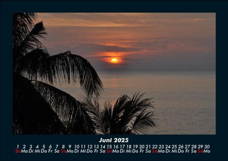 Produktbild: Palmentraum 2025 Fotokalender DIN A5