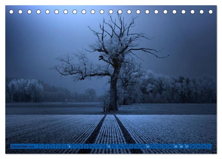 Produktbild: B&auml;ume sind Tr&auml;ume (Tischkalender 2026 DIN A5 quer), CALVENDO Monatskalender