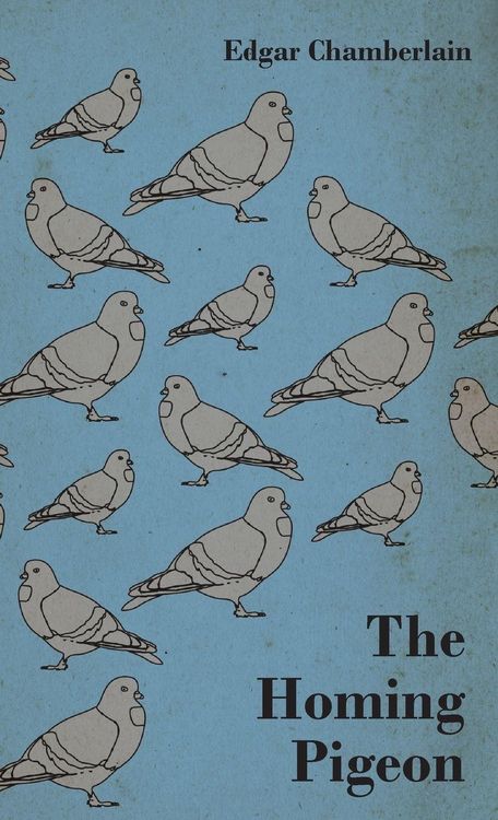 Produktbild: The Homing Pigeon