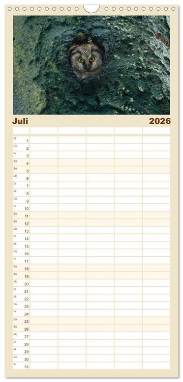 Produktbild: Familienplaner 2026 - Heimische Eulen und Greife mit 5 Spalten (Wandkalender, 21 x 45 cm) CALVENDO