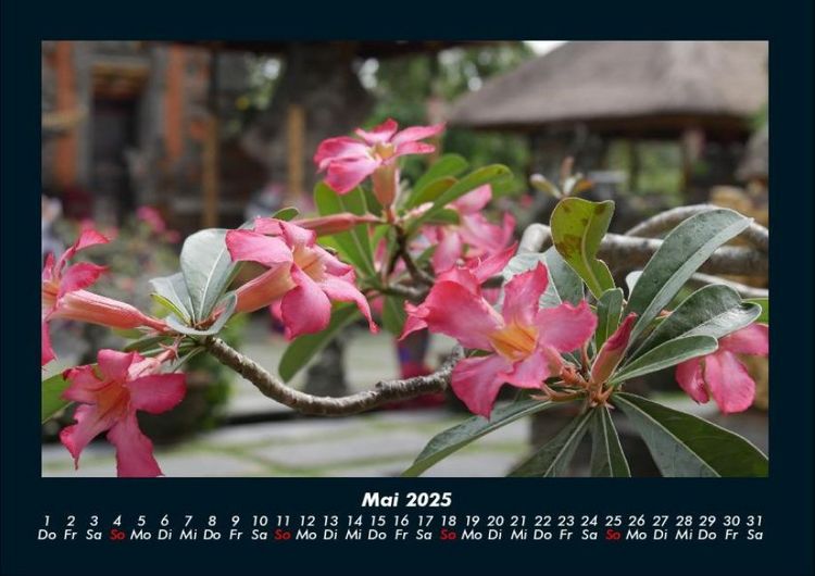 Produktbild: Blumenzauber 2025 Fotokalender DIN A4