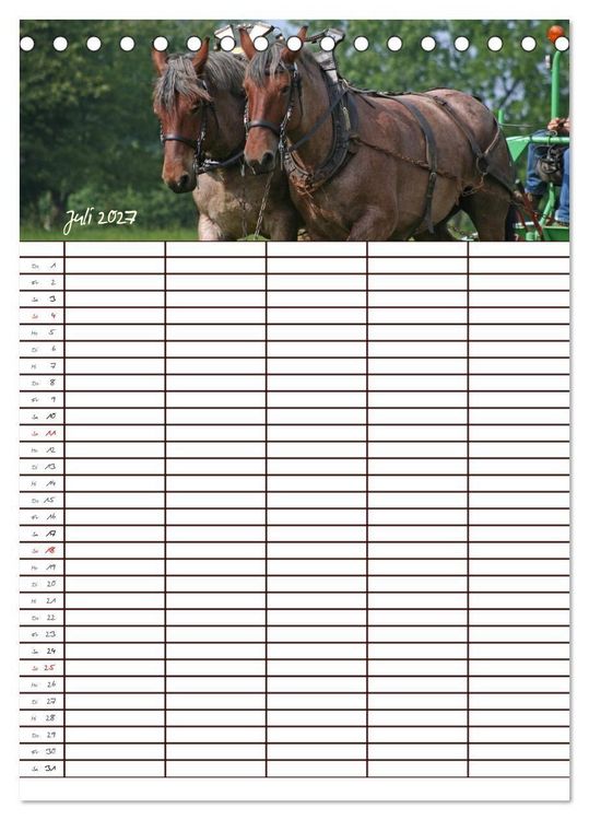 Produktbild: Der Kaltblut-Familienplaner (Tischkalender 2027 DIN A5 hoch), CALVENDO Monatskalender