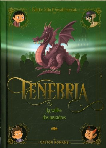 Produktbild: Tenebria. La vall&eacute;e des myst&egrave;res