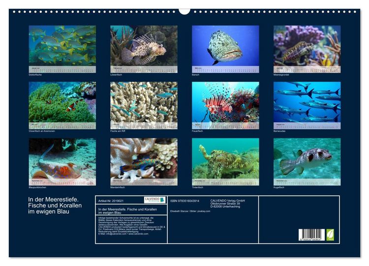 Produktbild: In der Meerestiefe. Fische und Korallen im ewigen Blau (Wandkalender 2026 DIN A2 quer), CALVENDO Monatskalender