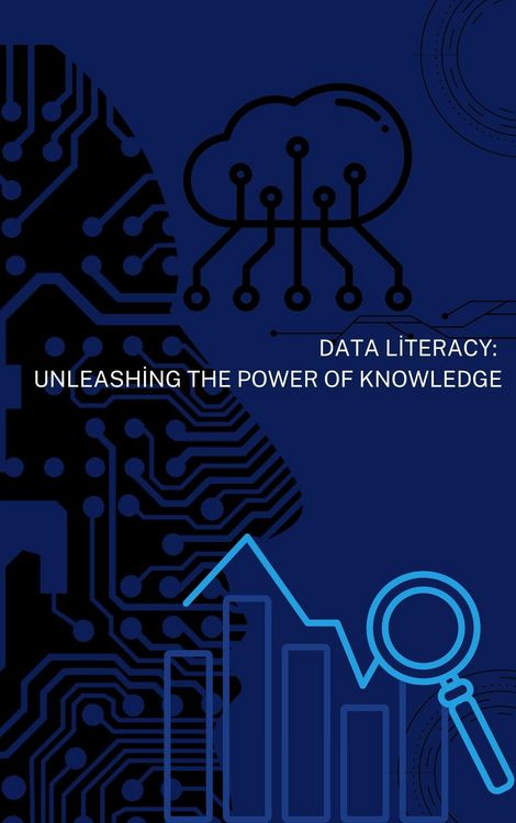 Produktbild: Data Literacy: Unleashing the Power of Knowledge