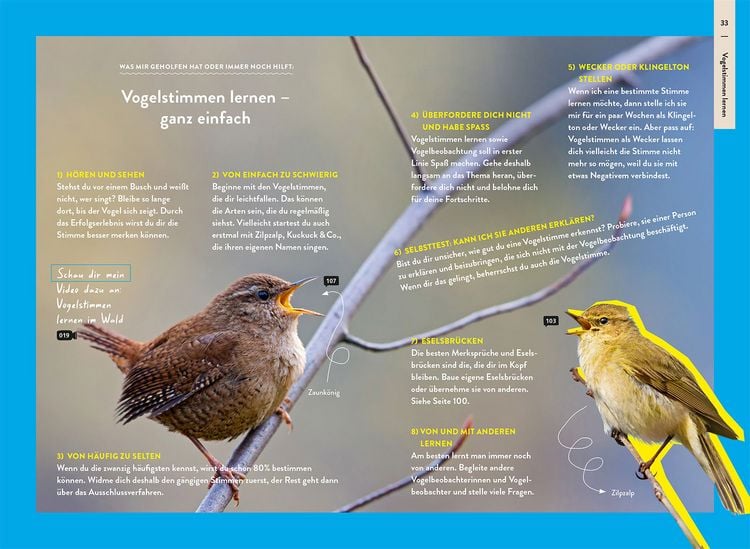 Produktbild: Nature Guide V&ouml;gel
