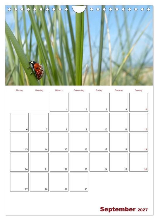 Produktbild: Marienk&auml;fergl&uuml;ck (Wandkalender 2027 DIN A4 hoch), CALVENDO Monatskalender