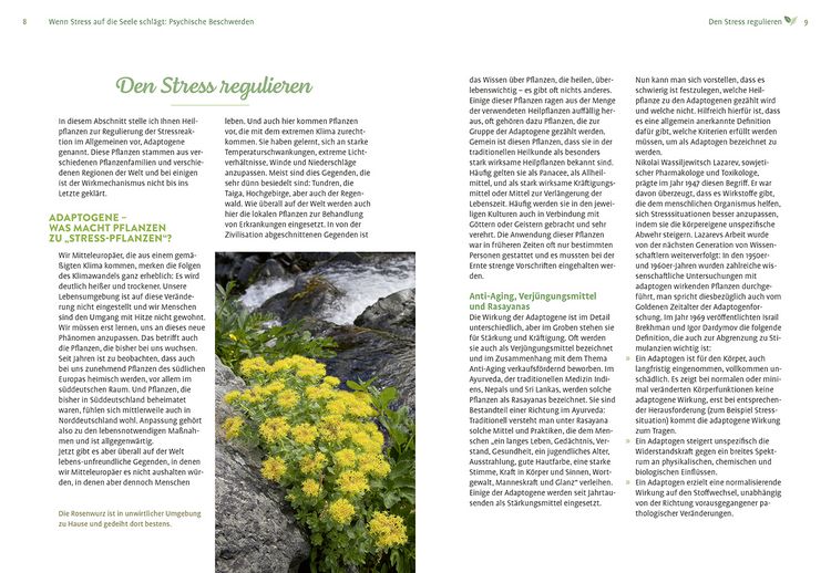 Produktbild: Mit Naturheilkunde Stress bew&auml;ltigen