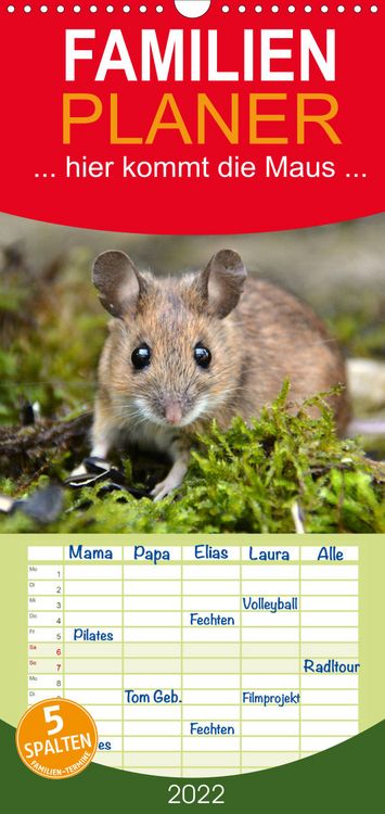 Produktbild: Familienplaner ... hier kommt die Maus ... (Wandkalender 2022 , 21 cm x 45 cm, hoch)