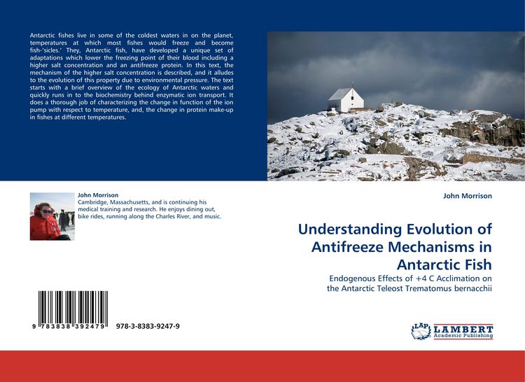 Produktbild: Understanding Evolution of Antifreeze Mechanisms in Antarctic Fish