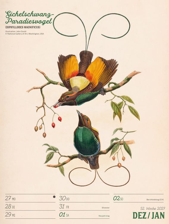 Produktbild: Wunderbare Vogelwelt Wochenplaner Kalender 2027