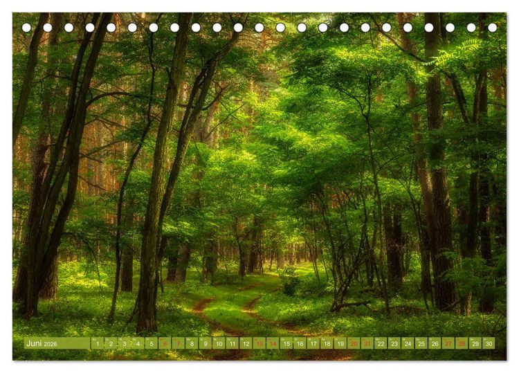 Produktbild: Vom Gebirge bis zum Meer, Alpen/Erzgebirge - Mitteldeutschland - K&uuml;ste (Tischkalender 2026 DIN A5 quer), CALVENDO Monatskalender